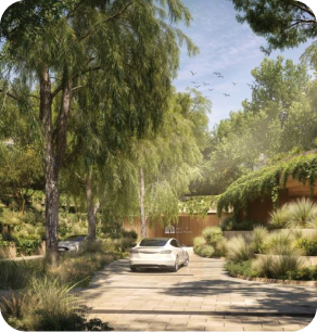 Ghaf Woods Forest Driveway