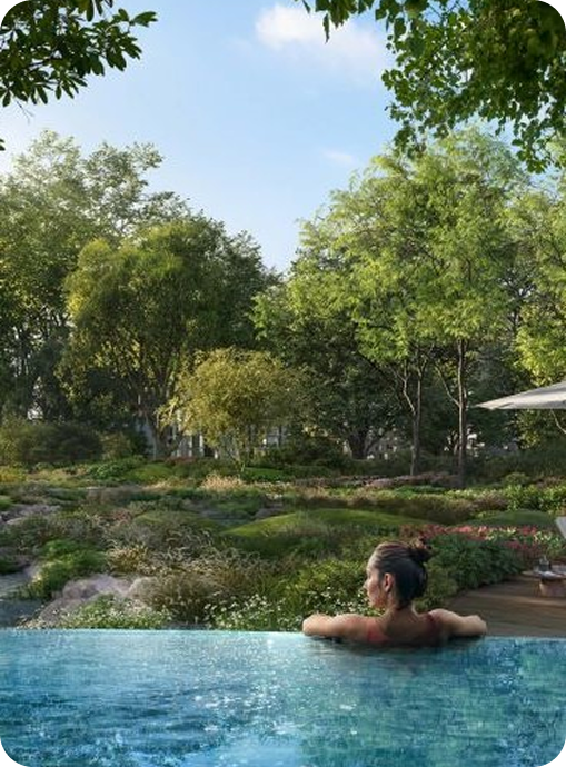 Forest Edge Oasis Pool